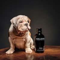 alonso-reyes-k0-hbsJzoe4-unsplash