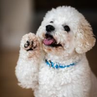 cole-wyland-1hLSnDbAj80-unsplash