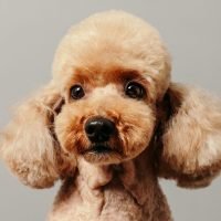 insung-yoon-rkEJ0JuevBg-unsplash