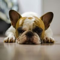 motta-producoes-ZSMGQxzF1Gg-unsplash