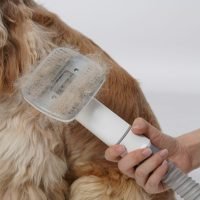 neakasa-s1cbq_XroX0-unsplash