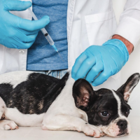 微信图片_20251103184409_7_54